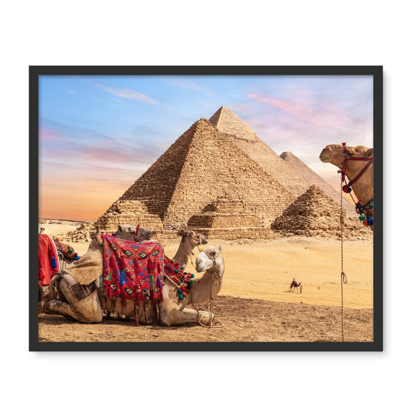 Camels in Egypt Framed Photo Tile