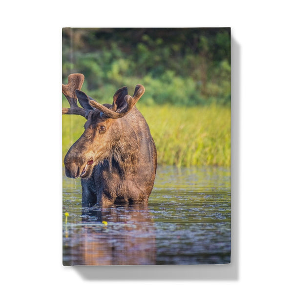 Canada Bull Moose Hardback Journal