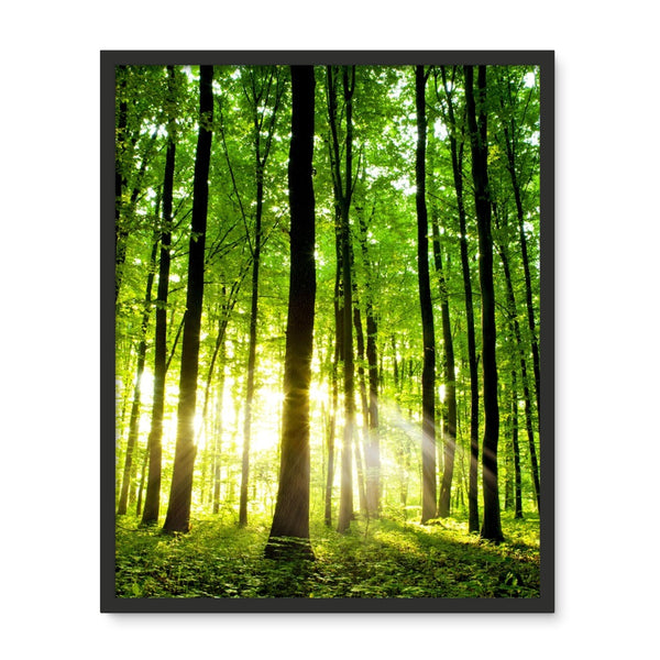 Green Forest Framed Photo Tile