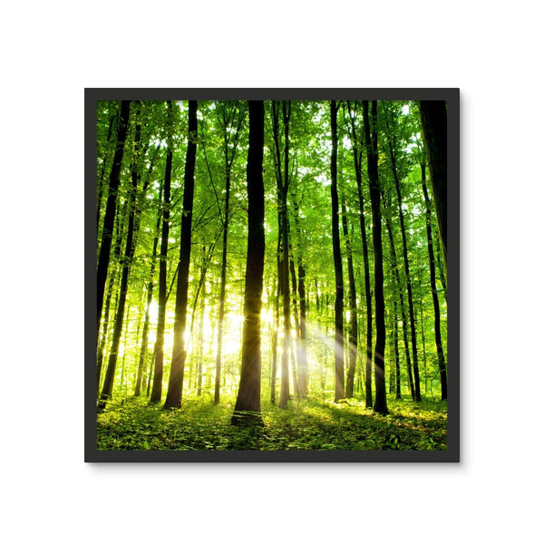 Green Forest Framed Photo Tile