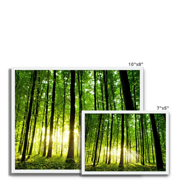 Green Forest Framed Photo Tile