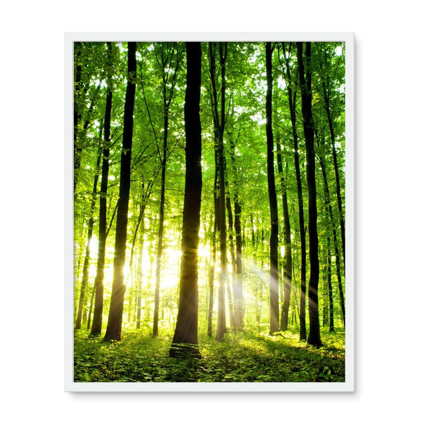 Green Forest Framed Photo Tile