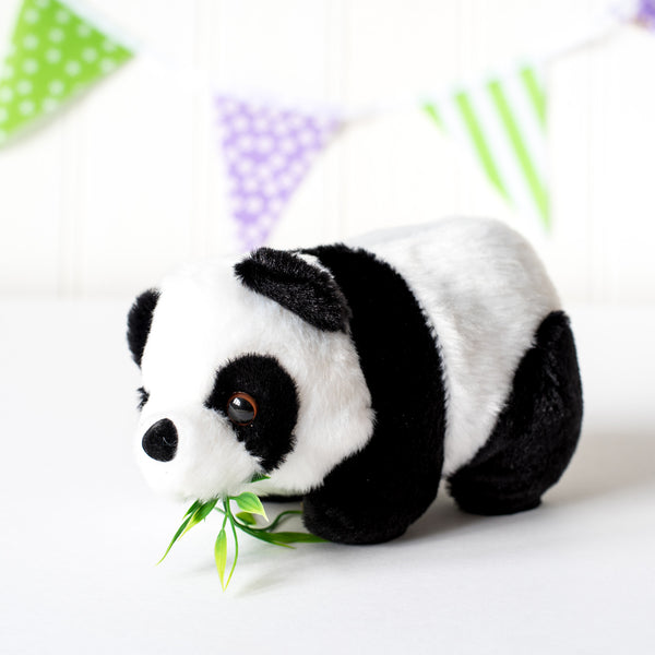 China Country Pack with Cuddly Panda Toy