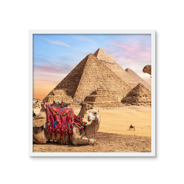 Camels in Egypt Framed Photo Tile