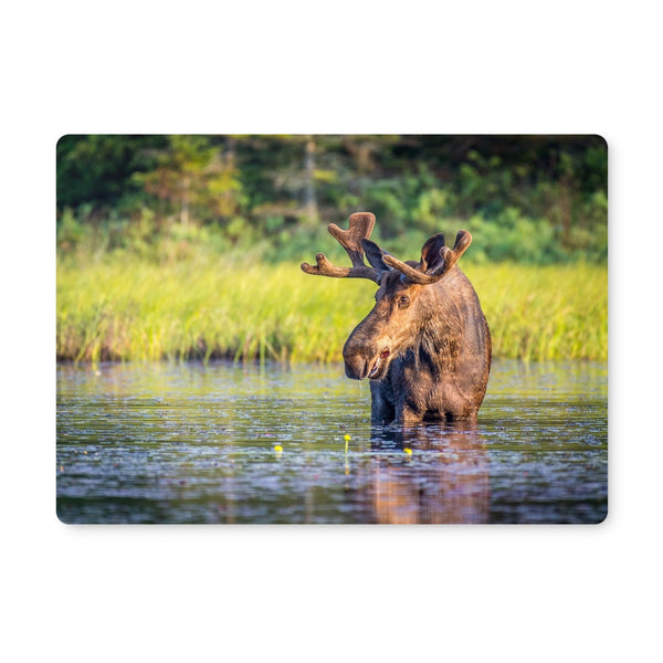 Canada Bull Moose Placemat