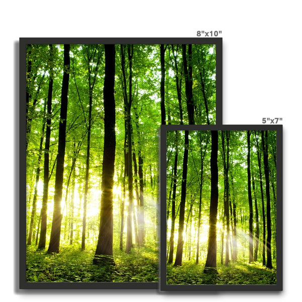 Green Forest Framed Photo Tile